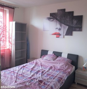 Apartament 41m 29 Listopada widok na Wawel