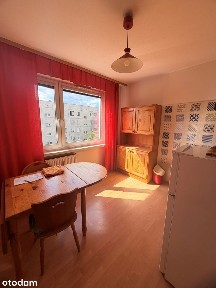 Ziemowita, Olechów, Widzew, Łódź, łódzkie