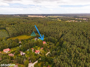 Przestronny, zadbany dom w zielonej enklawie.