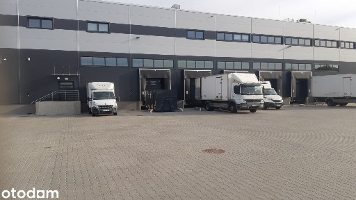 Chłodnia z regałami 2x 930m2 ( można adaptować pod mroźnię) +biura 300