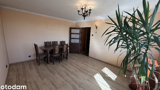 ul. Szkolna, Sielec, Sosnowiec, śląskie