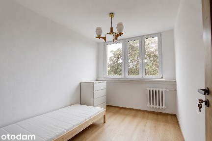 ul. Młodych Techników, Szczepin, Stare Miasto, Wrocław, dolnośląskie