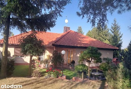 Śródmieście, Kalisz, wielkopolskie