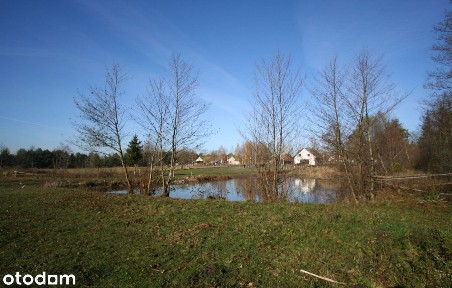Szczecno, Daleszyce, kielecki, świętokrzyskie