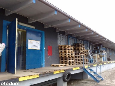 Hala/Magazyn, 331 m², Skierniewice