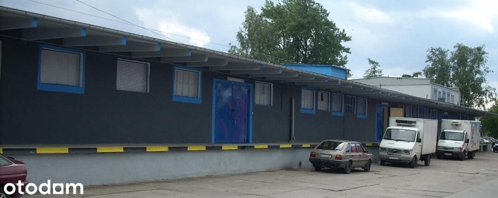 Hala/Magazyn, 40 m², Skierniewice