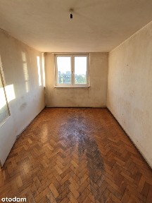 Legnicka, Szczepin, Stare Miasto, Wrocław, dolnośląskie