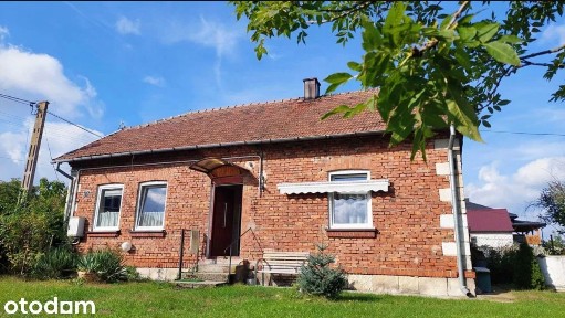 36 Arów! Dom, stodoła i stajnia wśród natury w gminie Wiślica