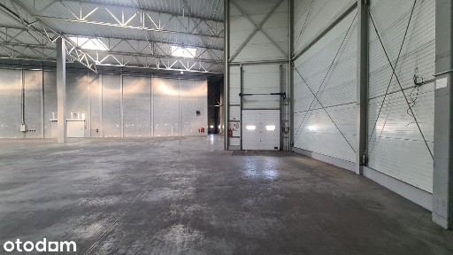 Hala prod.-magazynowa 1155m2, prąd 100KW - Kostrzyn