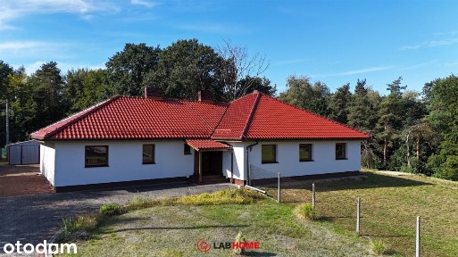 Skarb pod lasem w sielankowej krainie