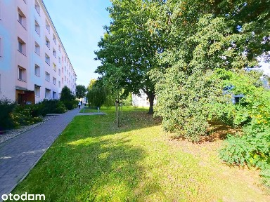 REZERWACJA!/ 2 pokojowe z dużym balkonem/OFERTA PRYWATNA/DO REMONTU