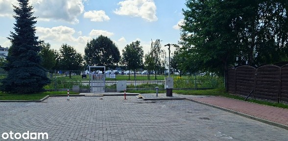 3-pokojowe mieszkanie na Osiedlu Lewandów Park II