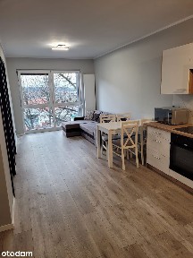 Do wynajęcia mieszkanie 42m2 z windą w apartamentowcu na ulicy Lipowej