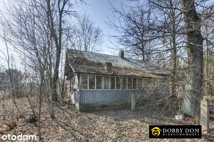 * Duże siedlisko 10 ha dom, budynki gosp., las *