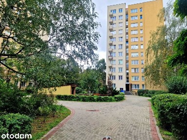 ul. Anielewicza, Nowolipki, Wola, Warszawa, mazowieckie