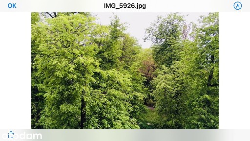 Bezp. Piękna okolica widok na park 2pok kamienica