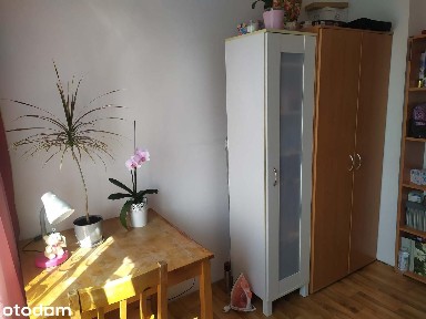 Studenci,absolwenci/ul. Słomiana / 3 pokoje,balkon/świetna lokalizacja