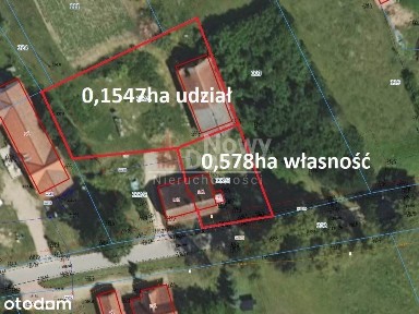 Bliźniak W Piłakach Wielkich !