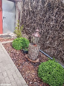 Wynajmę samodzielne mieszkanie w domu jednorodzinnym