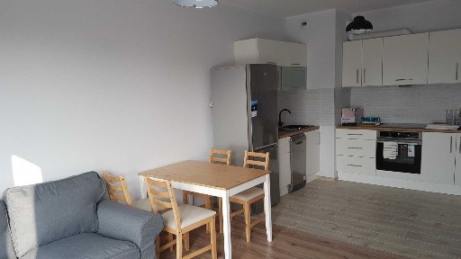 Mieszkanie 2 pok. w centrum, 40 m2 od 1 listopada