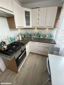 Przytulne 2pok+balkon, IVp. Roosevelta NAJEM OKAZJ
