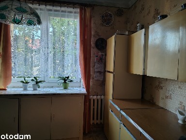 Przestronne mieszkanie 2 pokojowe z balkonem i piwnicą