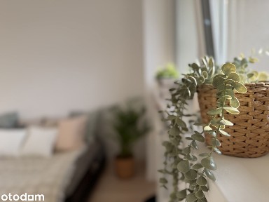 2pok kapitalny remont |kuchnia w zabudowie|wysoki standard|M-ceCentrum