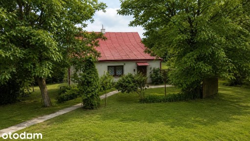 Krzywa Wieś, Kamień, rzeszowski, podkarpackie