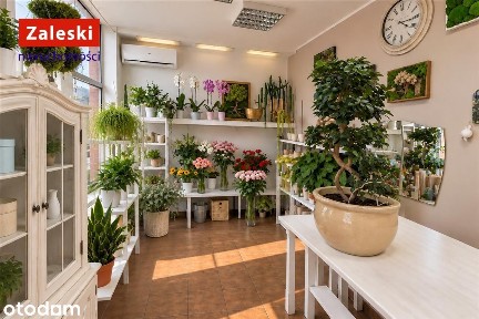 Jagiellońska, Przymorze Wielkie, Gdańsk, pomorskie