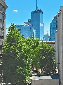 Bezpośrednio Centrum 3pokojeoddzielna kuchnia po remoncie60 m²balko