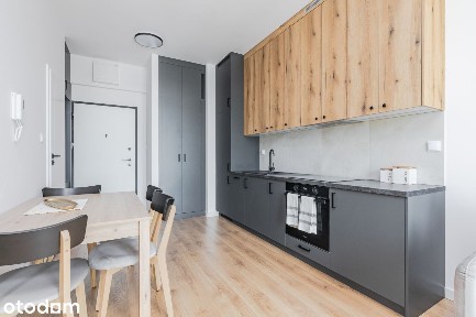 Studio 36M2|Cowork, Promo|Pets Ok|Metro