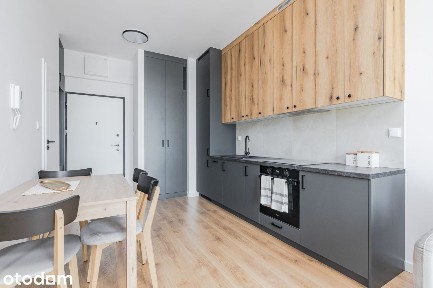 Studio 36M2|Cowork, Promo|Pets Ok|Metro