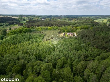 Dom w środku własnego Lasu. Cisza i spokój