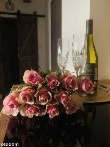 Apartament 3pok w Iławie w zabytkowym Spichlerzu z miejscem postojowym