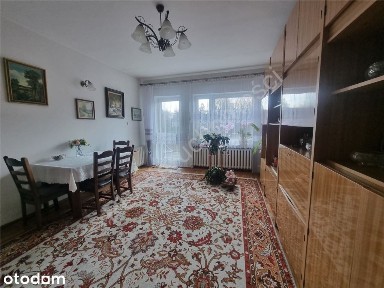 Duża działka, dobra lokalizacja, Żółwin