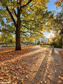 250m od Metro KABATY | MIESZKANIE 3 pokoje z oddzielną kuchnią |WINDA