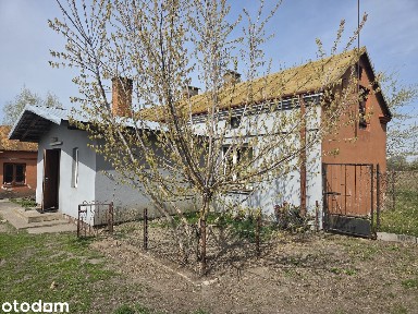 Dom wolnostojący, budynek gospodarczy, duża działka, Feliksów