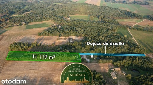Działka z lasem i WZ, Sprzedaż 1,11 ha, Trzcianka