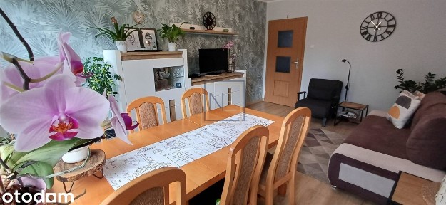 Kapuściska, Bydgoszcz, kujawsko-pomorskie