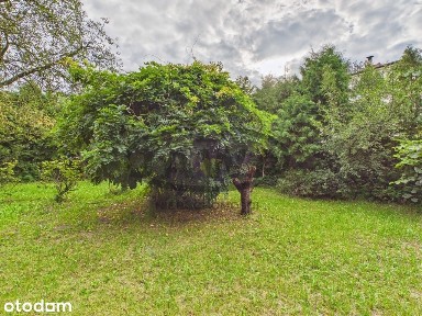 Dom w zabudowie bliźniaczej | 110 m2 | do remontu