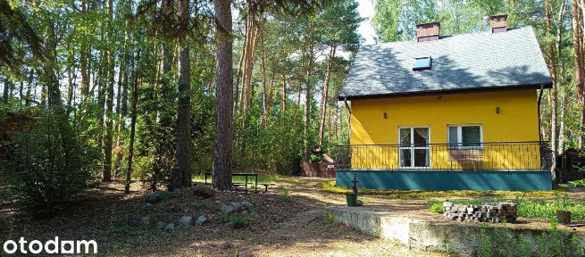 Dom w lesie pod Serockiem/Warszawą. Cena do negocjacji.