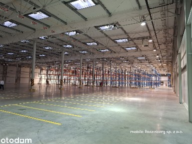 HALA magazynowa - dostępna od 300m do 9000m