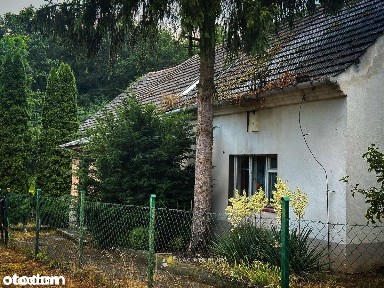 Dom pośrodku lasu 10km od miasta