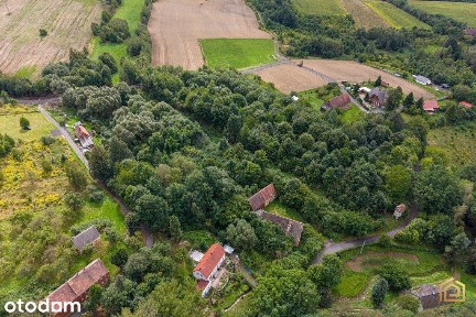 2,29 Ha W Zapuście | 9 Działek |Jezioro Złotnickie