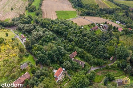 Zapusta, Olszyna, lubański, dolnośląskie