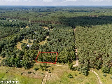 Dom letniskowy w lesie|Antresola|Sauna|Klimatyzacja|Kominek