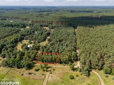 Dom rekreacyjny w lesie|Antresola|Sauna|Klimatyzacja|Kominek