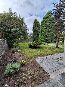 Sady dom wolno stojący 181 mkw działka 792 mkw