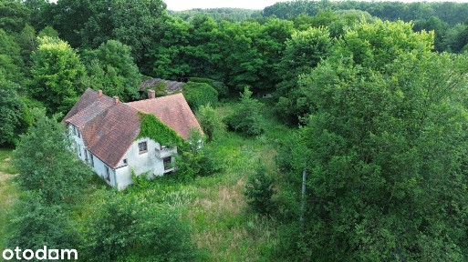 Wyjątkowa posiadłość w sercu lasu | Henrykowice k. Milicza | Dom 280 m