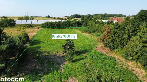 Dom do remontu | 150 m2 | Chomiąża | Działka 3900 m2 |
